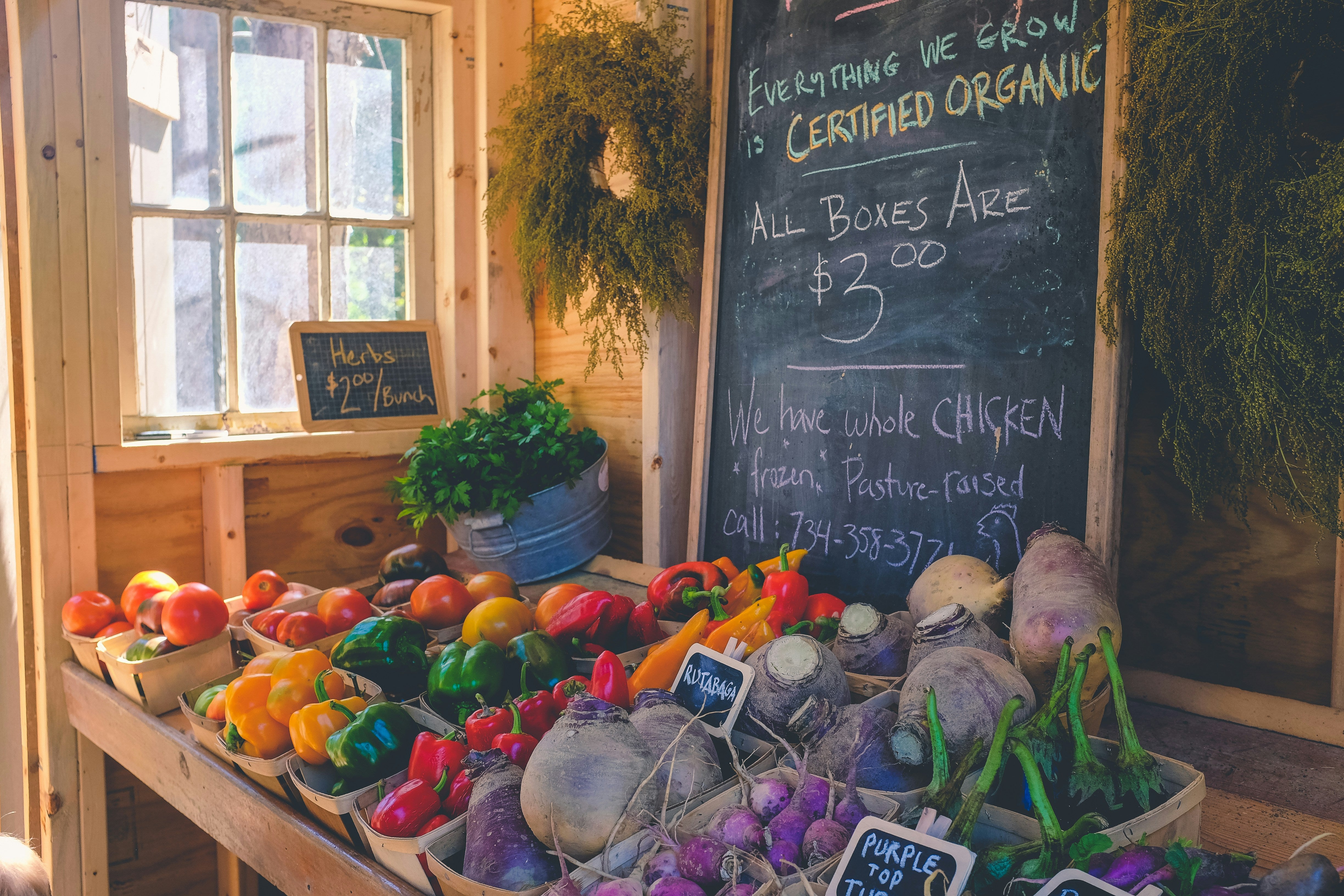 Choosing Organic: Why It’s Worth the Effort | Natural Bedding Co.
