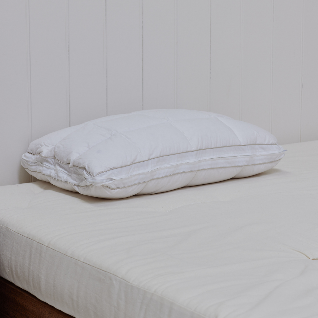 Standard Latex & Down Pillow