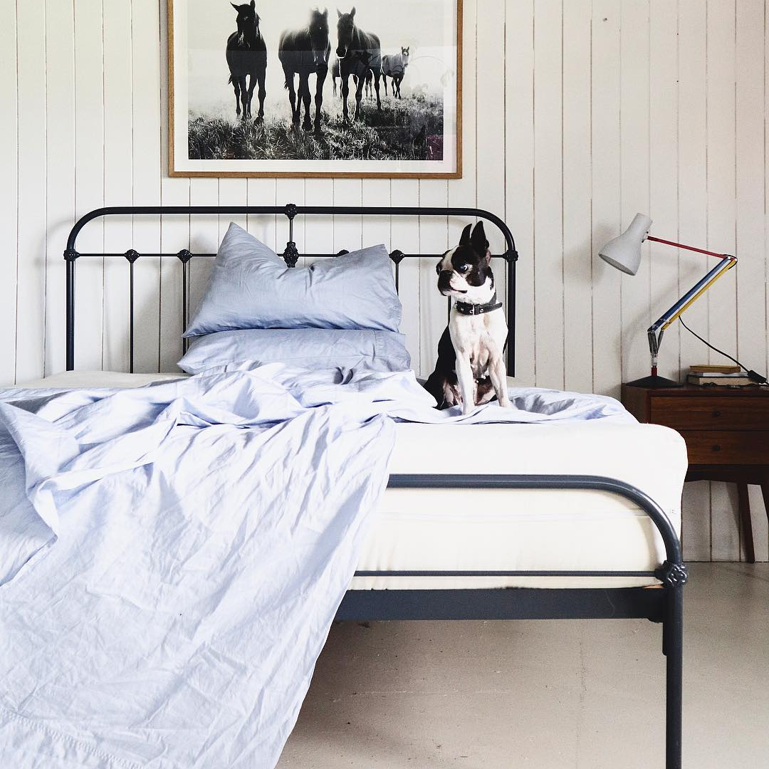 Dreamer Latex Mattress