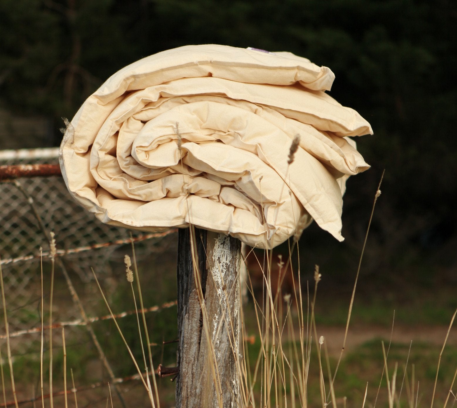Organic Wool Quilt