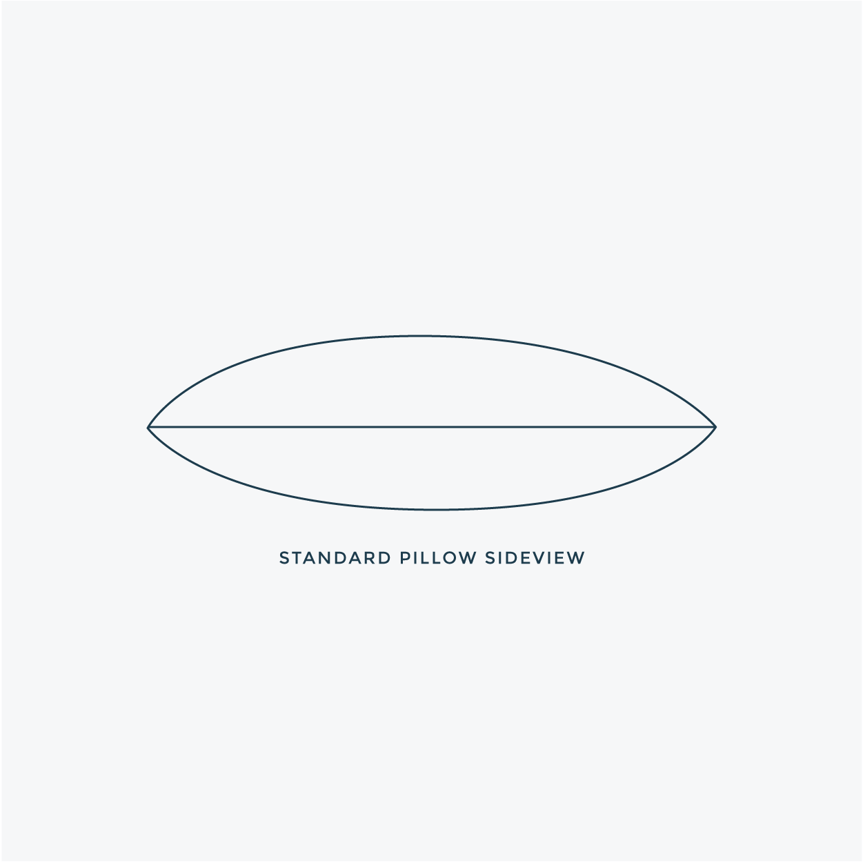 Standard Latex & Down Pillow