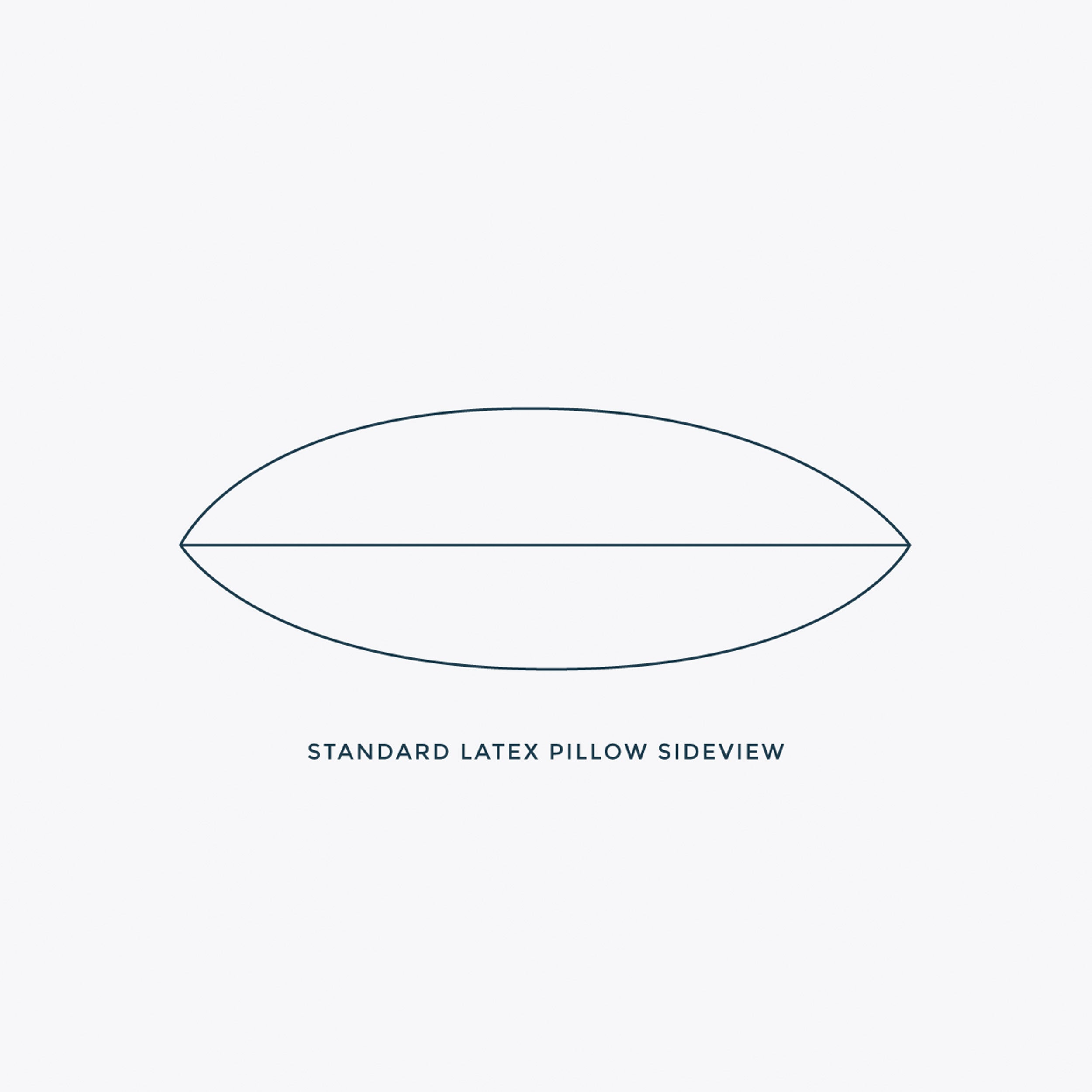 Standard Latex Pillow